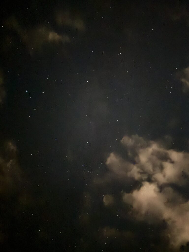 最近ハマってる事