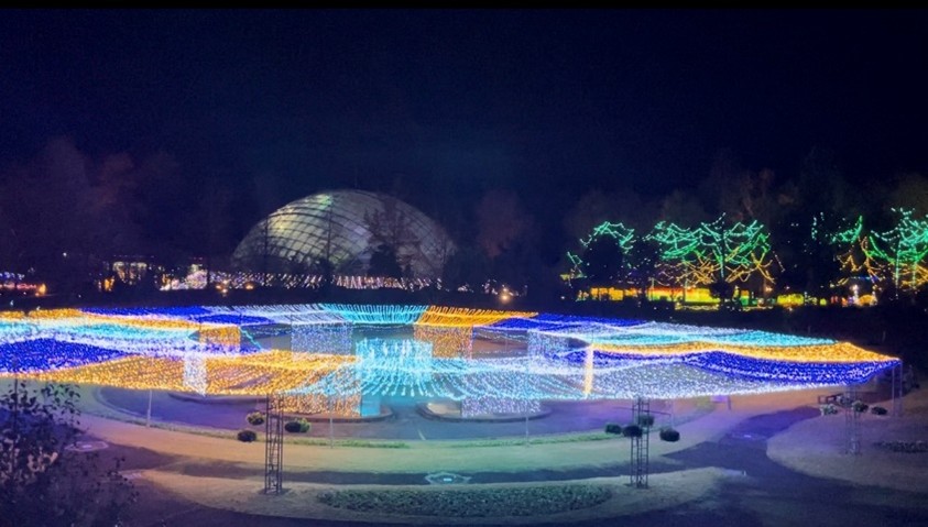 イルミネーション